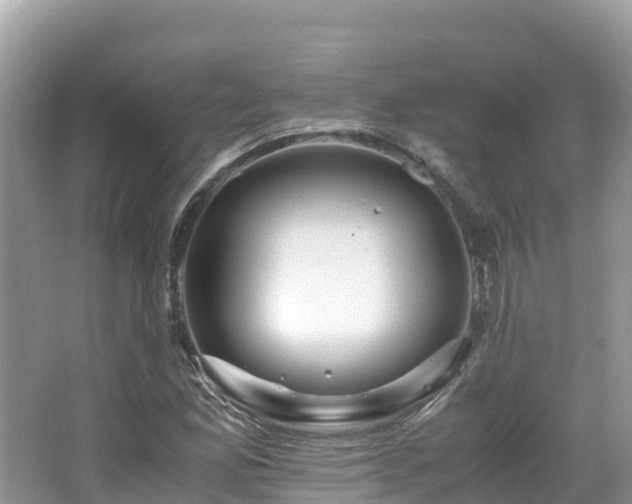 X0000065241165200602211204