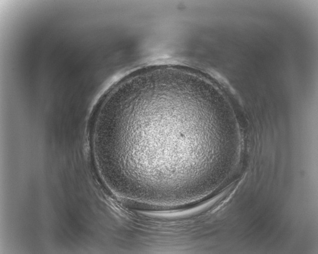 X0000065241167200602211204