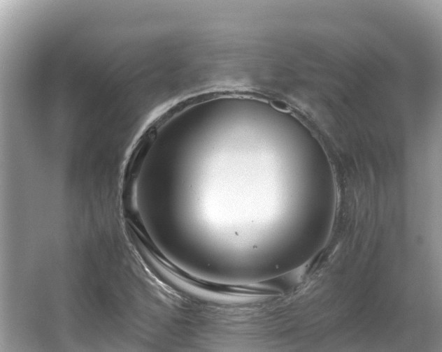 X0000065241168200602211204