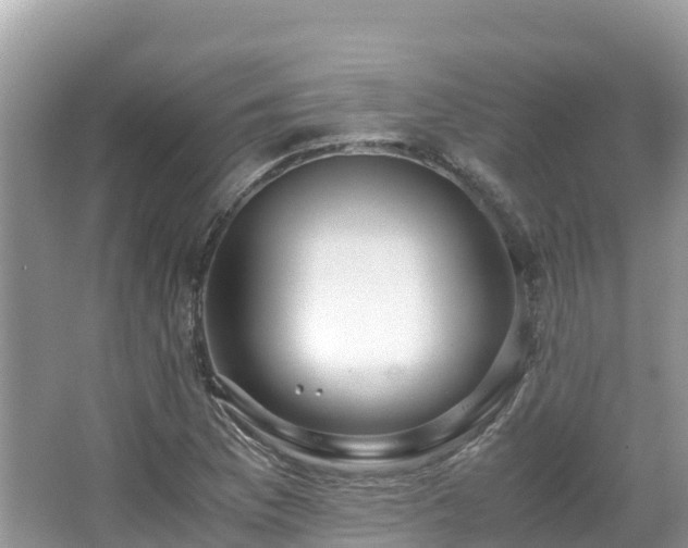 X0000065241169200602211204