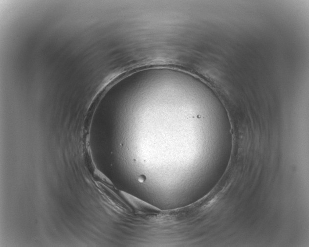 X0000065241170200602211204