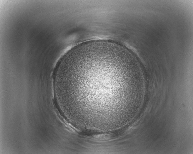 X0000065241171200602211204