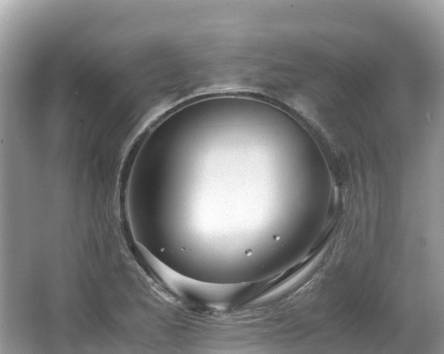 X0000065241173200602211204