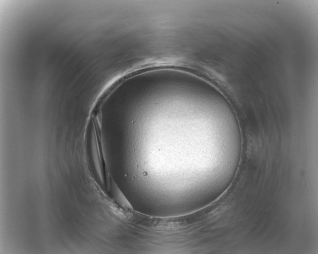 X0000065241174200602211204