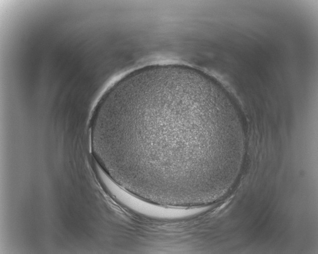 X0000065241175200602211204