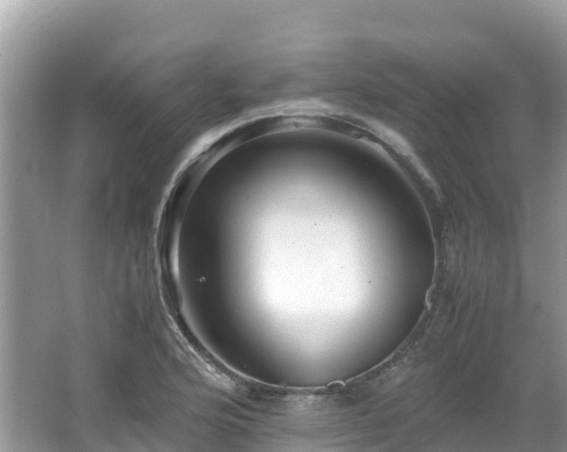 X0000065241176200602211204