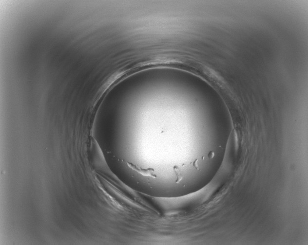 X0000065241177200602211204