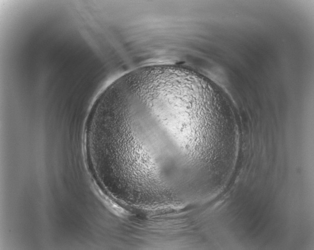 X0000065241179200602211204