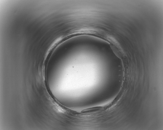 X0000065241180200602211204