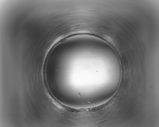 X0000065241181200602211204