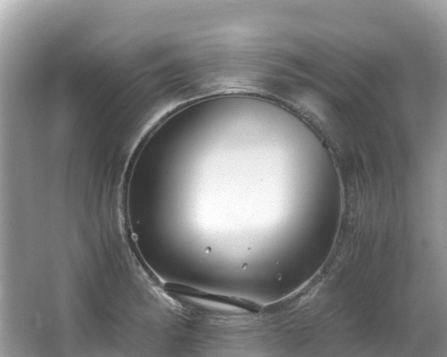 X0000065241182200602211204