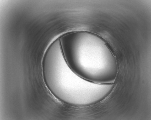 X0000065241184200602211204