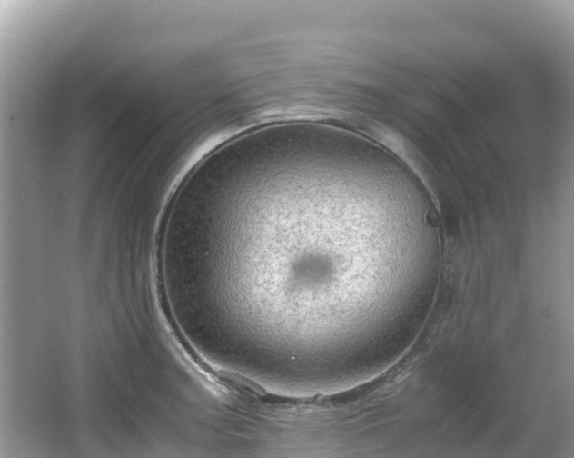 X0000065241187200602211204