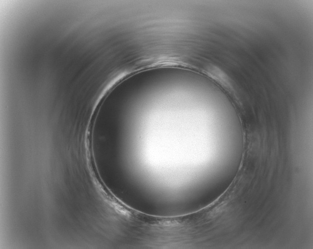 X0000065241190200602211204