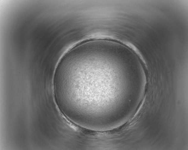 X0000065241191200602211204