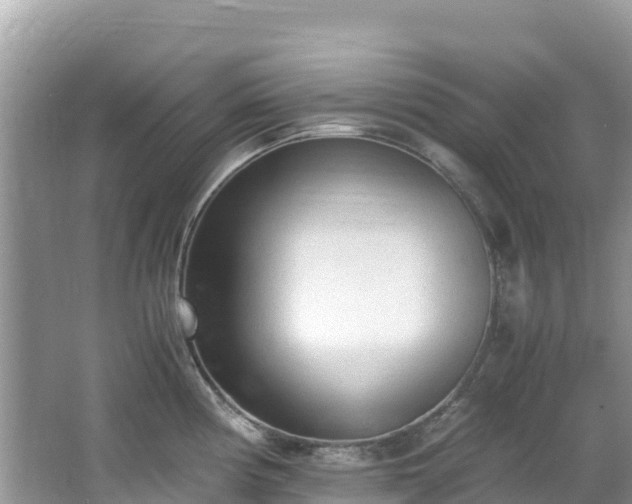 X0000065241194200602211204