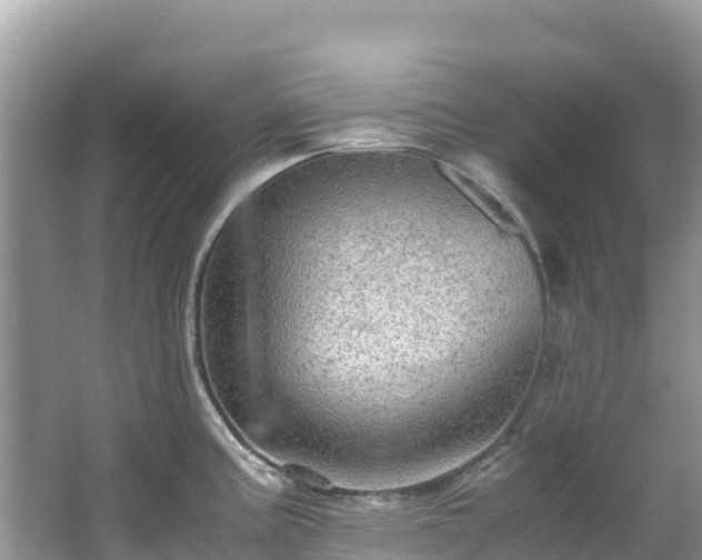 X0000065241195200602211204