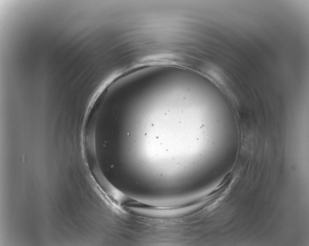 X0000065241196200602211204