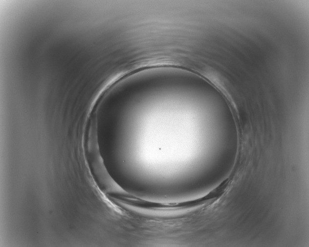 X0000065241197200602211204