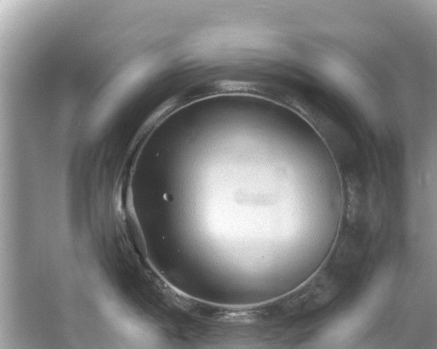 X0000065241198200602211204