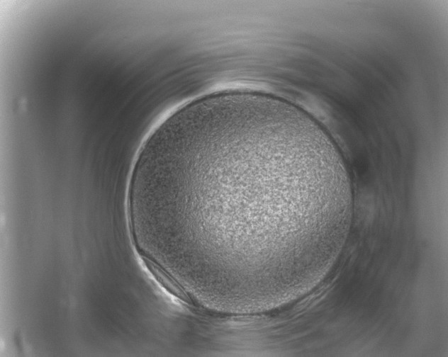 X0000065241199200602211204