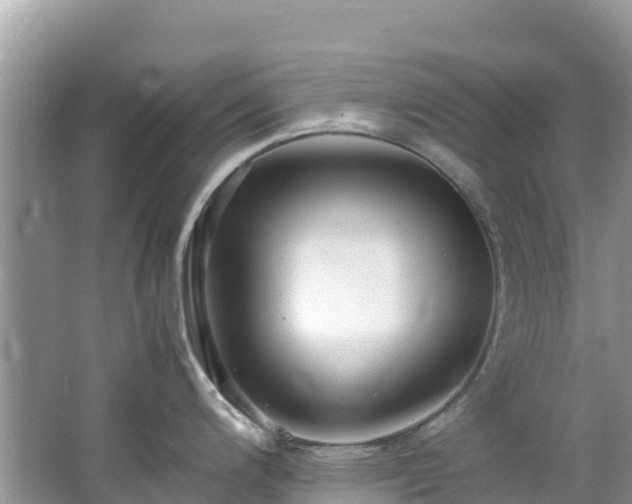 X0000065241200200602211204