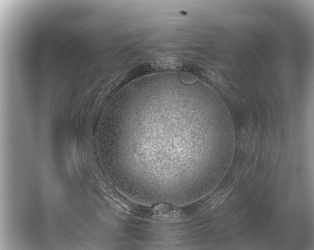 X0000065241201200602211203