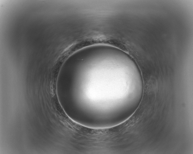 X0000065241205200602211203