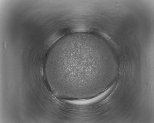 X0000065241209200602211203