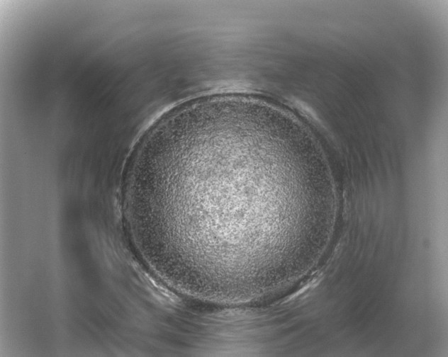 X0000065241212200602211203