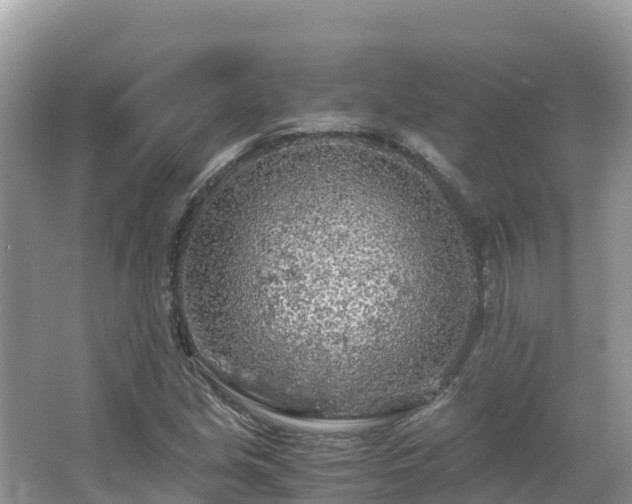 X0000065241213200602211203