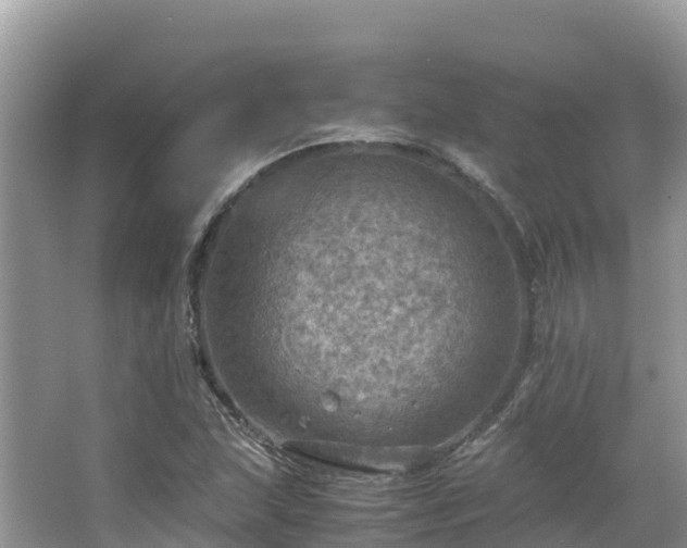 X0000065241215200602211203