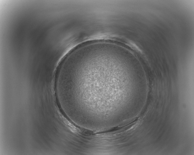 X0000065241216200602211203