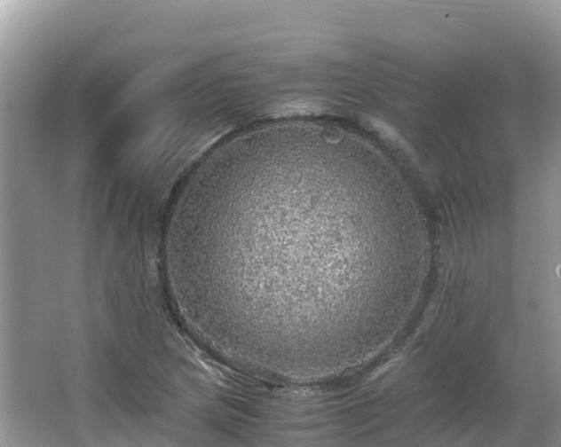 X0000065241217200602211203