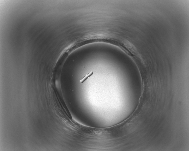 X0000065241218200602211203