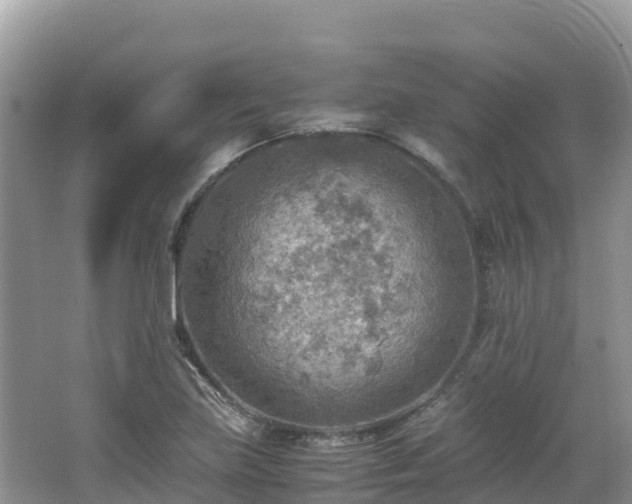 X0000065241219200602211203