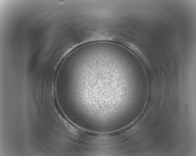 X0000065241220200602211203