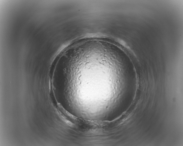 X0000065241221200602211203