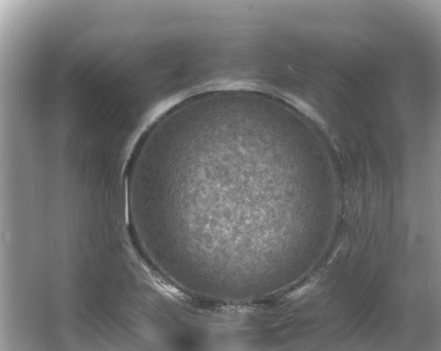 X0000065241223200602211203