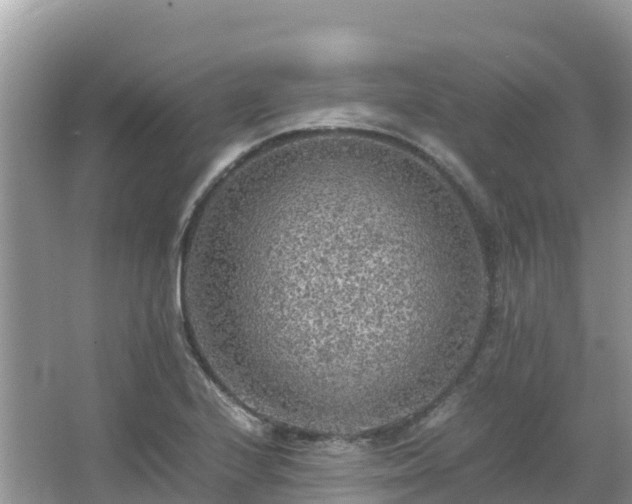 X0000065241224200602211203