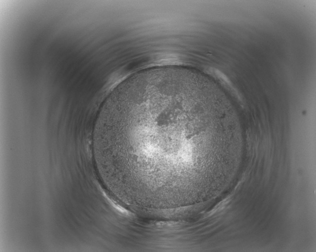 X0000065241225200602211203