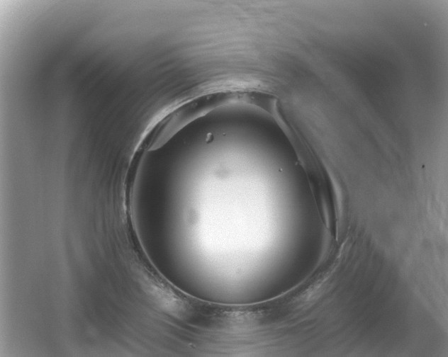 X0000065241226200602211203