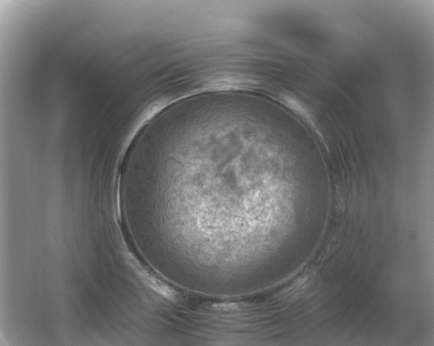 X0000065241227200602211203