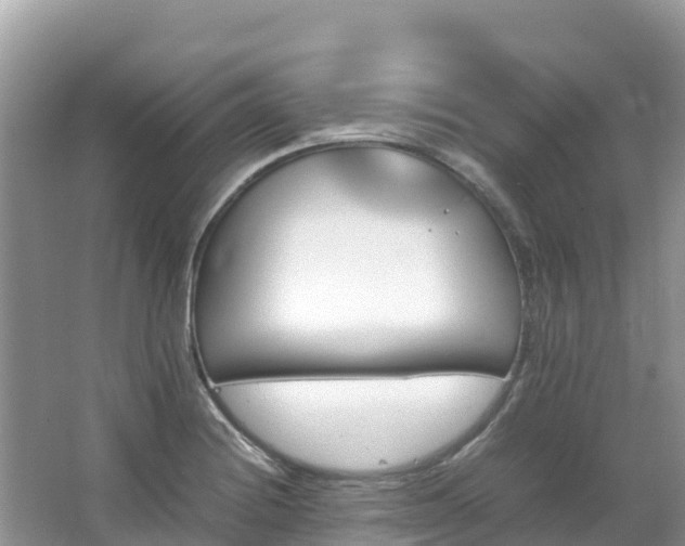 X0000065241228200602211203