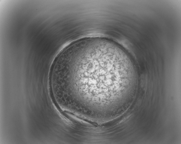 X0000065241229200602211204