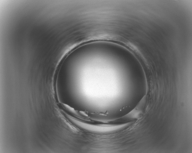 X0000065241230200602211204