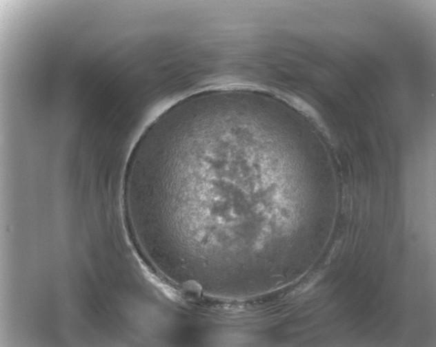 X0000065241231200602211204