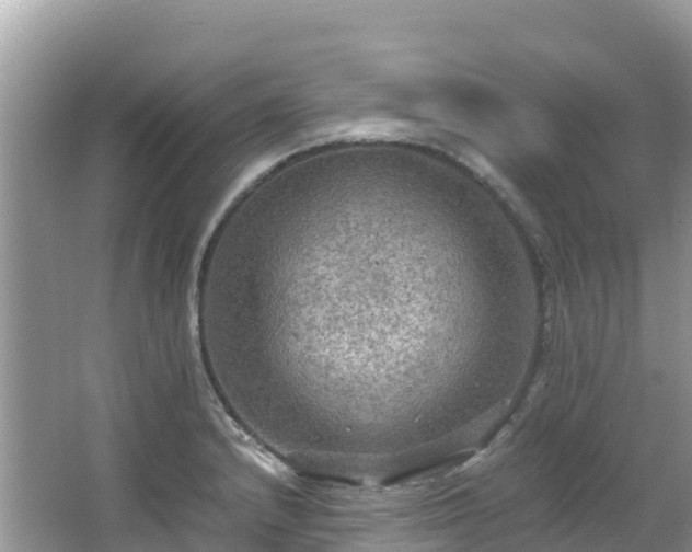 X0000065241232200602211204