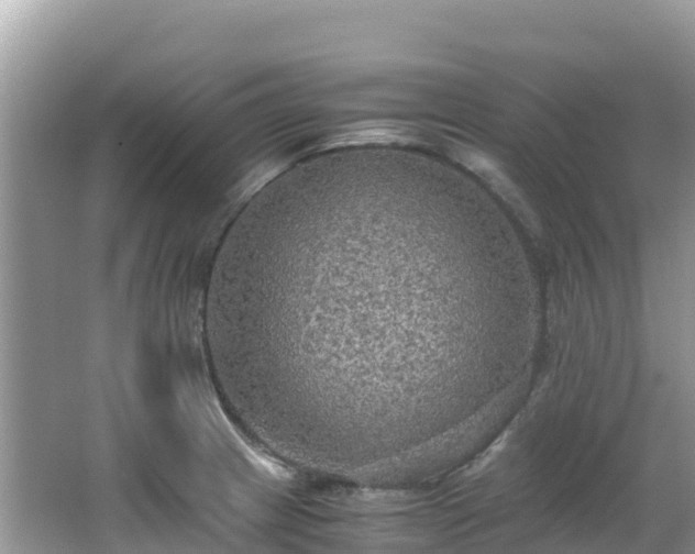 X0000065241233200602211204