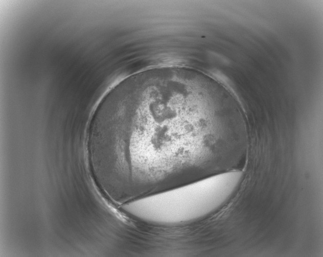 X0000065241235200602211204